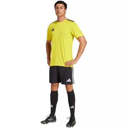 Vyriškas adidas Campeon 25 džersis geltonas JF6060