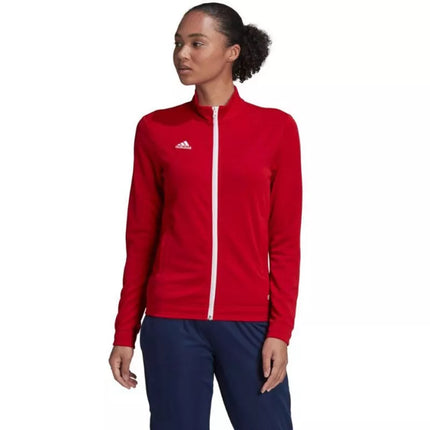 Adidas Entrada 22 Treneris W H57562 džemperis