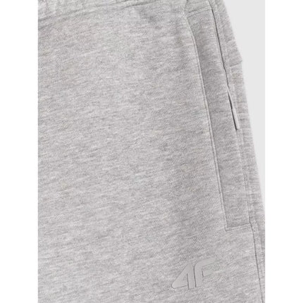 Men's jogger sweatpants 4F 4FRAW25TTROM1832-27M