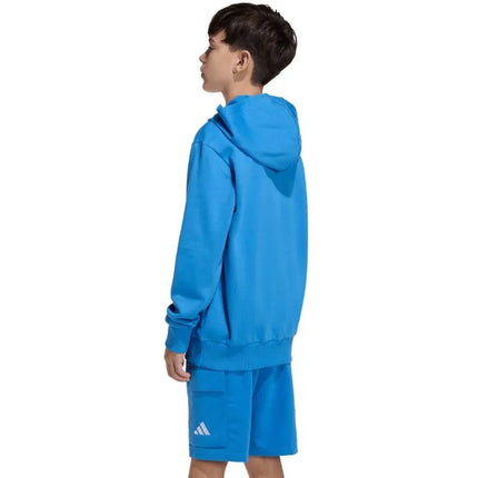adidas Essentials Hoodie for kids blue KD3382