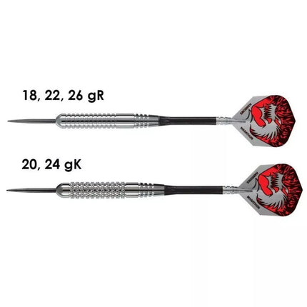 Harrows Silver Arrows Steeltip strėlės HS-TNK-000013162