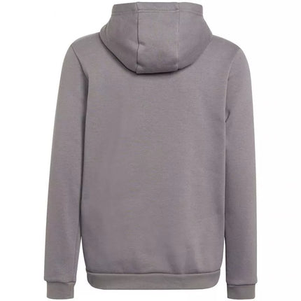 Adidas Entrada 22 Hoody Jr Džemperis H57515