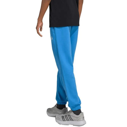 adidas Essentials vaikiškos kelnės, mėlynos, KS0379