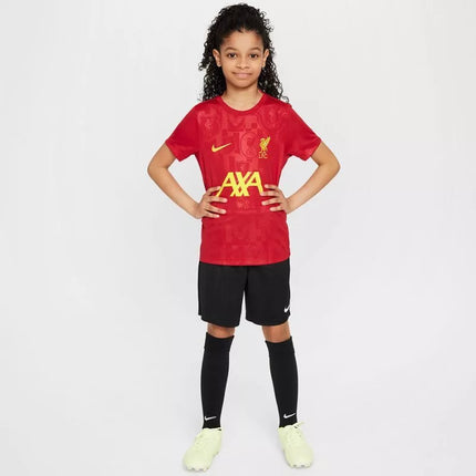 Nike Liverpool FC Academy Pro SS Top Jr FQ0013-688