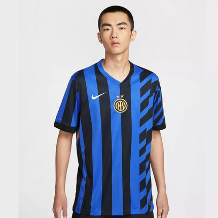 Nike Inter Milan stadiono marškinėliai FN8787-440