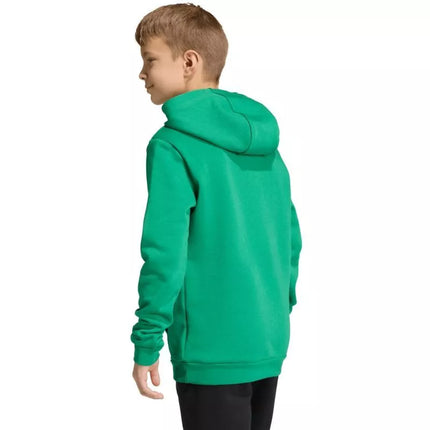 Adidas Entrada 26 Hoody green JZ6563 kids' sweatshirt