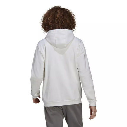 Adidas Entrada 22 M HG6302 džemperis