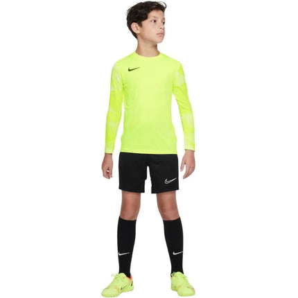 Nike Dry Park IV JSY LS GK Jr CJ6072-702 Marškiniai