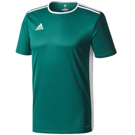 adidas Entrada 18 Jaunes marškinėliai CD8358