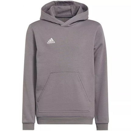 Adidas Entrada 22 Hoody Jr Džemperis H57515