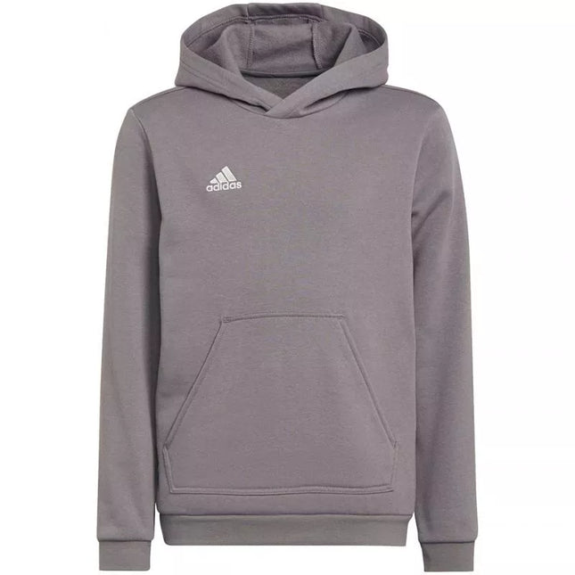 Adidas Entrada 22 Hoody Jr Džemperis H57515