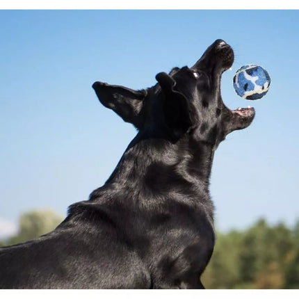 TENNIS BALLS FOR DOGS 3 PCS