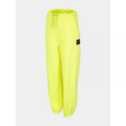 Women's sweatpants 4F H4Z22-SPDD012