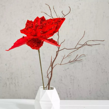 STAR OF BETHLEHEM 30CM