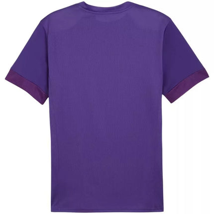 Puma teamGoal Matchday Jersey M 705747 10