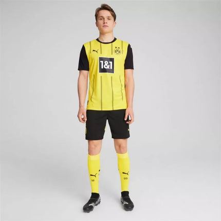 Puma Borussia Dortmund namų "Replica" marškinėliai, dydis M, 774946 01