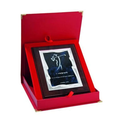 Plastic diploma with engraved metal plate + case