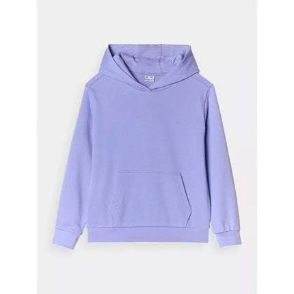 Girls' sweatshirt with hood, open, 4F Junior 4FJWMM00TSWSF1316-32S