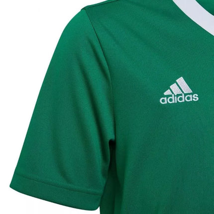 adidas Entrada 22 Marškinėliai Jr HI2126