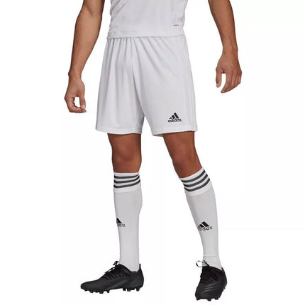 Adidas Squadra 21 Šortai M GN5774