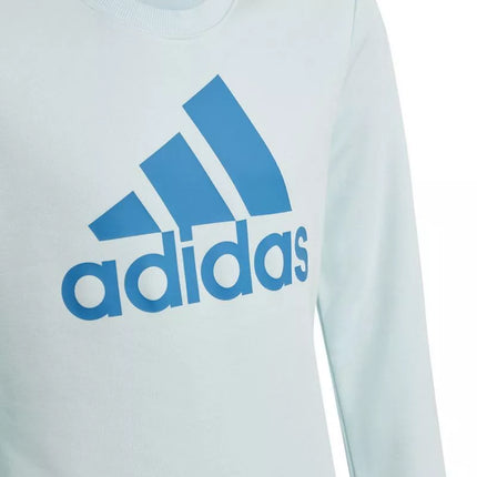 Adidas Big Logo Swt Jr HM8707 Džemperis