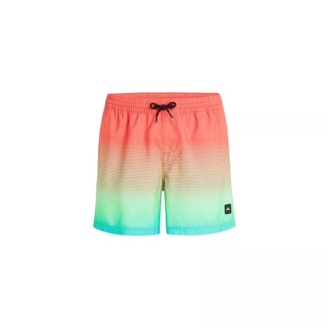 O'Neill Jack Cali Gradient 15'' maudymosi šortai M 92800613575