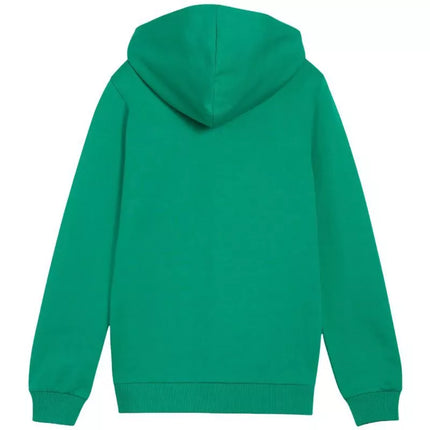 Puma teamGoal Casuals Hooded Kids' Sweatshirt Green 658596 05