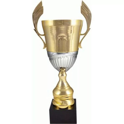 Gold and silver metal cup 4128C