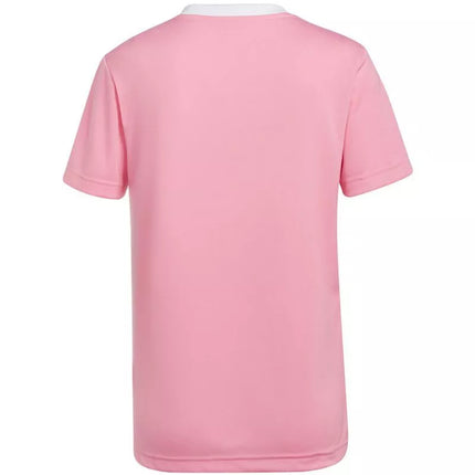 Adidas Entrada 22 moteriški marškinėliai HC5075