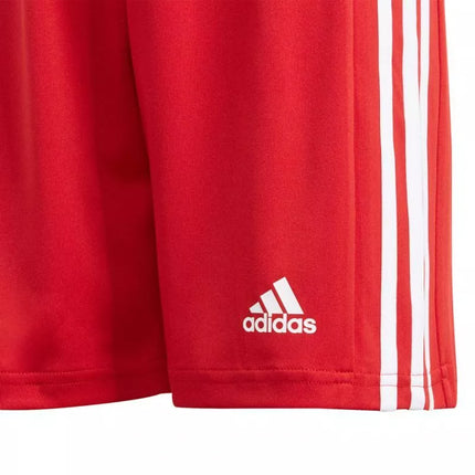 Adidas Squadra 21 Šortai Jaunimui Jr GN5761