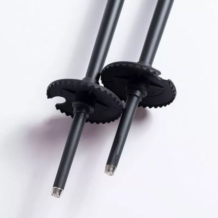 ALPINE SKI II poles
