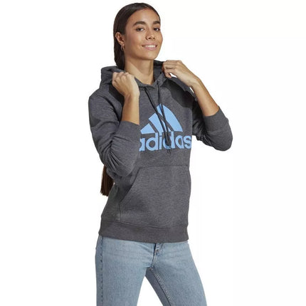 Adidas Big Logo FL R HD W IC9845 džemperis