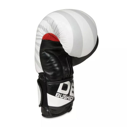 10oz Boxing Gloves - Japan - Valor Series