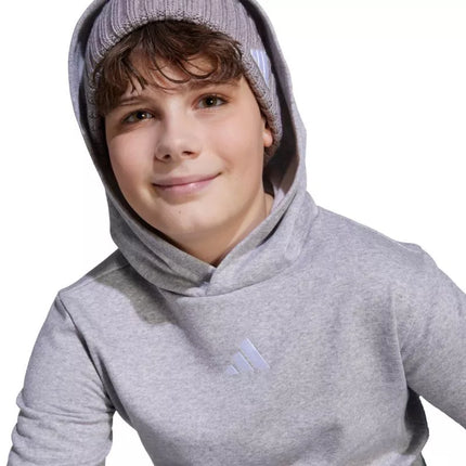 adidas Essentials Hoodie for kids gray JV9995