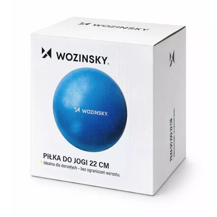 Wozinsky WPDP-N22 rehabilitation exercise ball 25cm - blue
