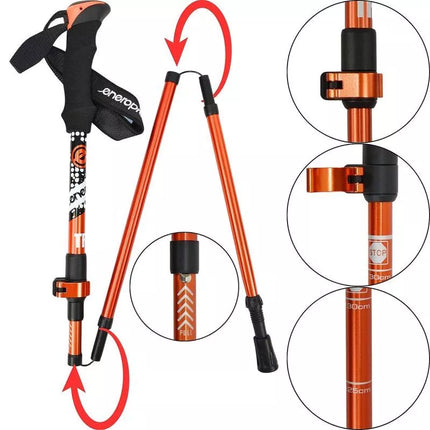 NORDIC WALKING TRIP POLES IN ENERO PRO CASE