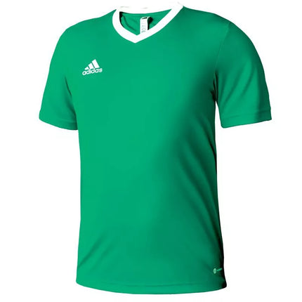 adidas Entrada 22 Marškinėliai Jr HI2126