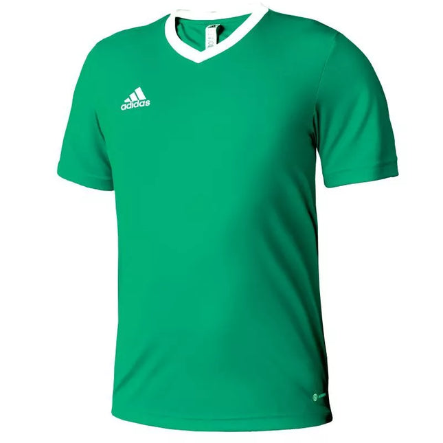 adidas Entrada 22 Marškinėliai Jr HI2126