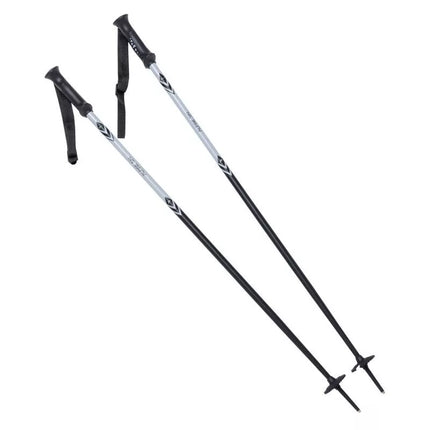 ALPINE SKI II poles