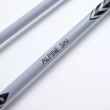ALPINE SKI II poles