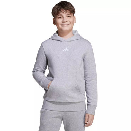 adidas Essentials Hoodie for kids gray JV9995