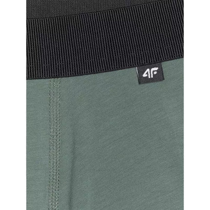 Men's boxer shorts (2-pack) 4F 4FWAW25UBXSM062 4F 4FWAW25UBXSM062-92S