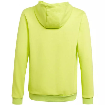 Adidas Entrada 22 Hoody Jr HC5069 džemperis