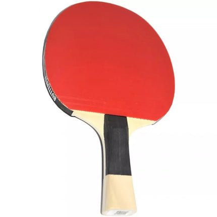Drugelis Timo Boll SG33 85017 stalo teniso raketė