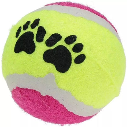 TENNIS BALL FOR DOGS 5 PCS