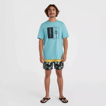 O'Neill Mix&Match Cali Block maudymosi šortai 15'' M 92800613816