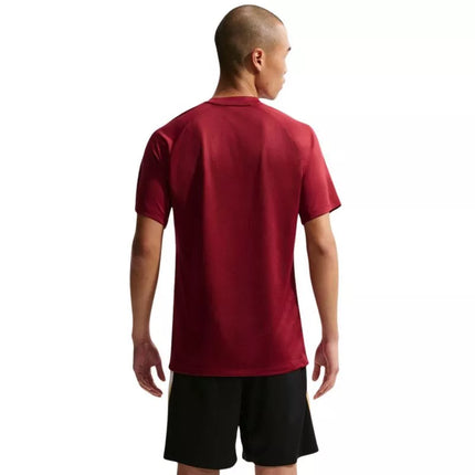 Nike Dri-Fit Park VIII Vyriški marškinėliai Bordo HV8173 677