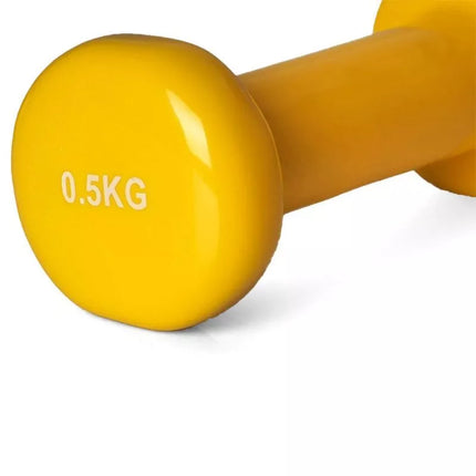 PROfit vinyl dumbbell 0.5kg DK 4102