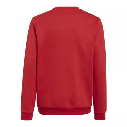 Adidas Entrada 22 Džemperis Jaunimui H57473