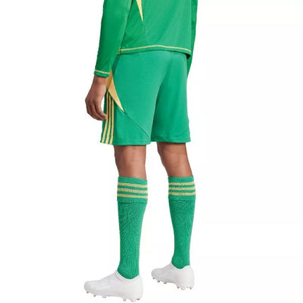 adidas Tiro 24 M IT2414 šortai